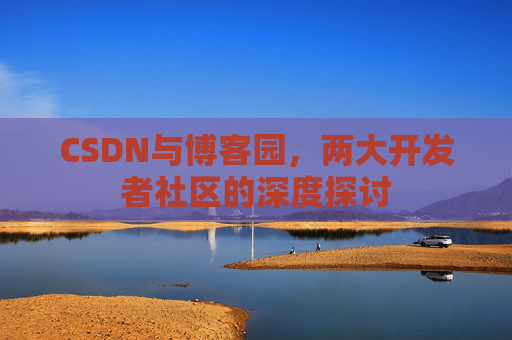 CSDN与博客园，两大开发者社区的深度探讨